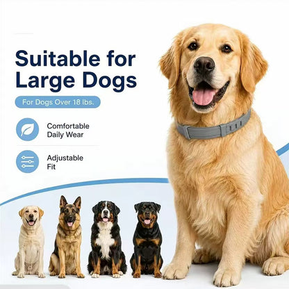 Premium Adjustable Dog and Cats Collar – Lightweight, Comfortable & Durable
