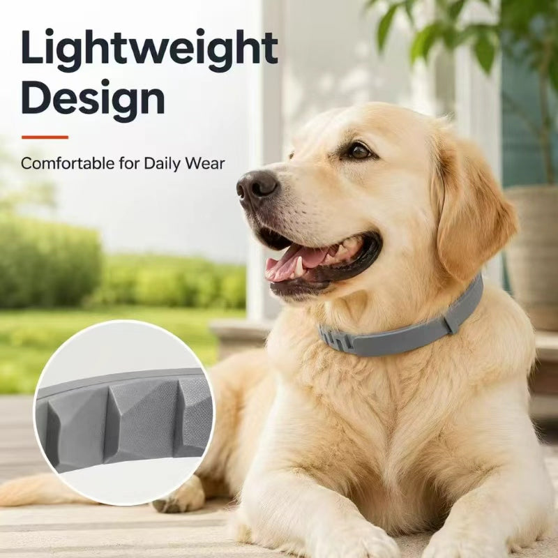 Premium Adjustable Dog and Cats Collar – Lightweight, Comfortable & Durable