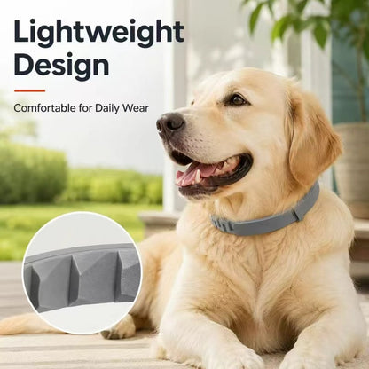 Premium Adjustable Dog and Cats Collar – Lightweight, Comfortable & Durable