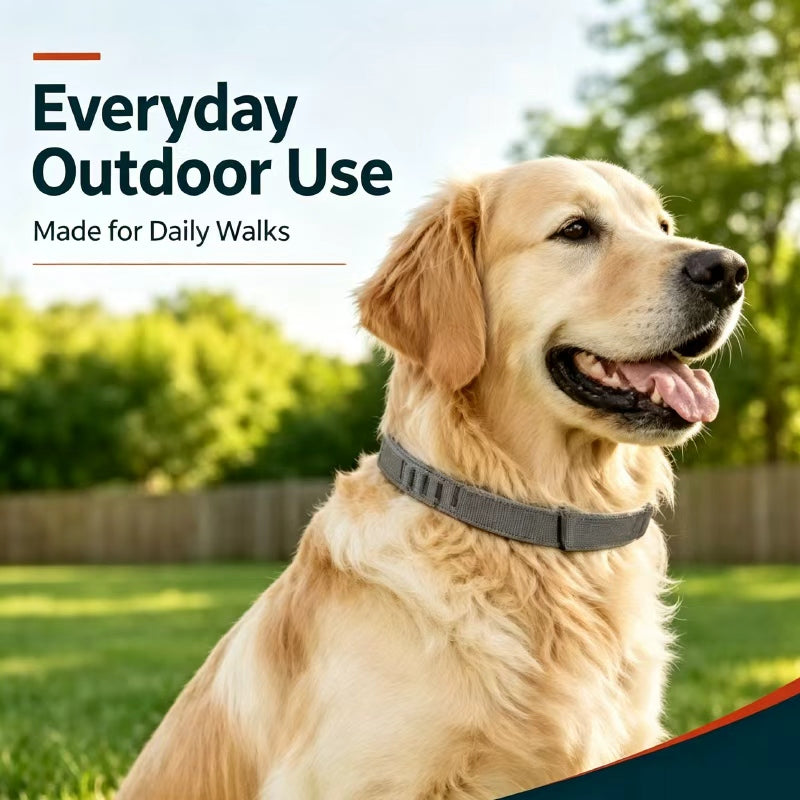Premium Adjustable Dog and Cats Collar – Lightweight, Comfortable & Durable