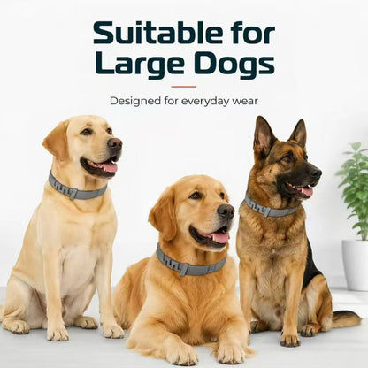 Premium Adjustable Dog and Cats Collar – Lightweight, Comfortable & Durable