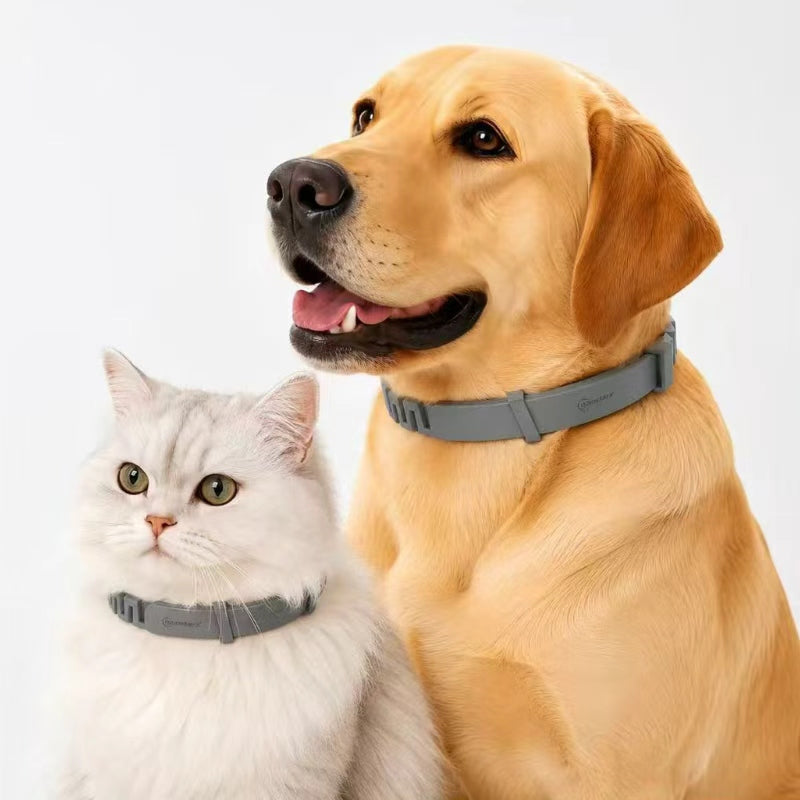Premium Adjustable Dog and Cats Collar – Lightweight, Comfortable & Durable
