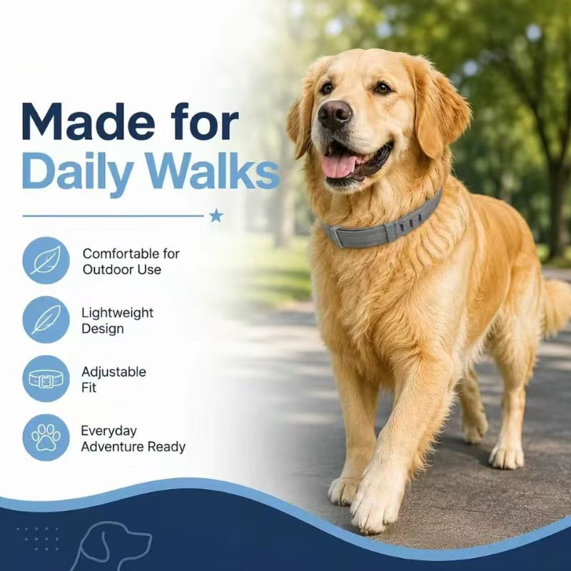 Premium Adjustable Dog and Cats Collar – Lightweight, Comfortable & Durable