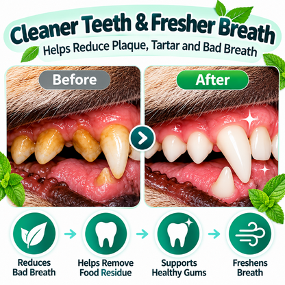 Pet Dental Tablets for Dogs and Cats